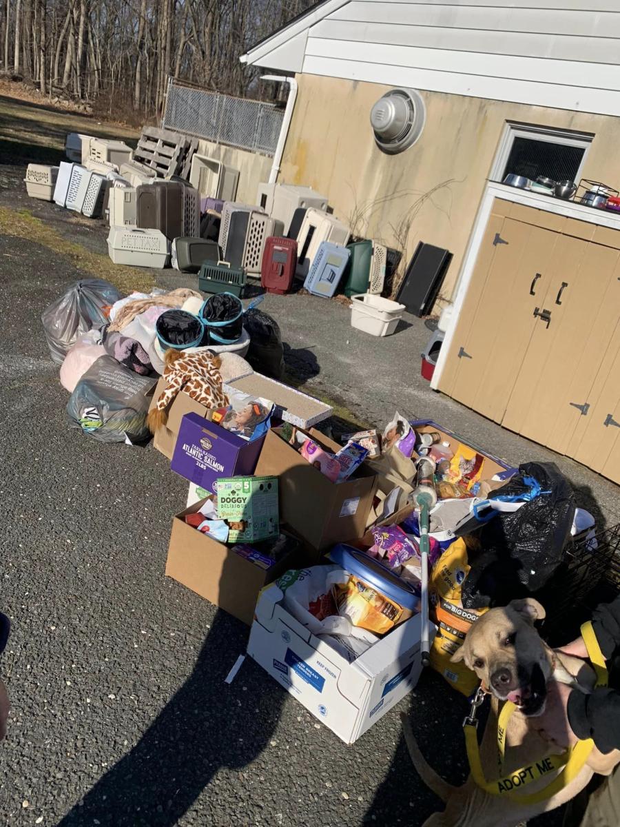 Animal Shelter Donation West Morris Area YMCA